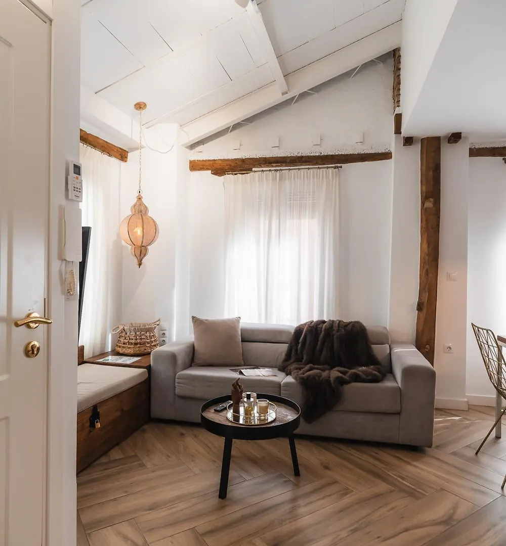 Tuguest Santa Paula Apartments 格拉纳达